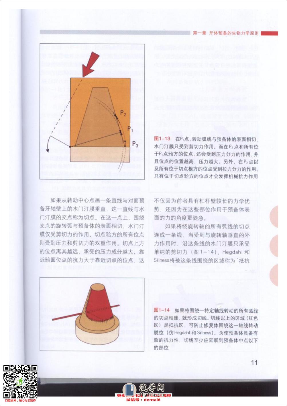 牙体预备的基本原则 - 第13页预览图