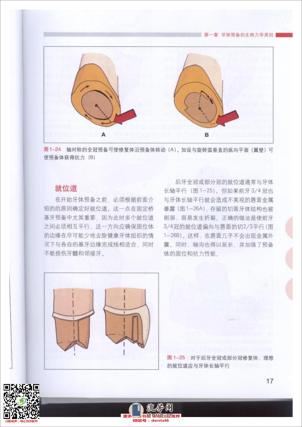 牙体预备的基本原则 - 第19页预览图