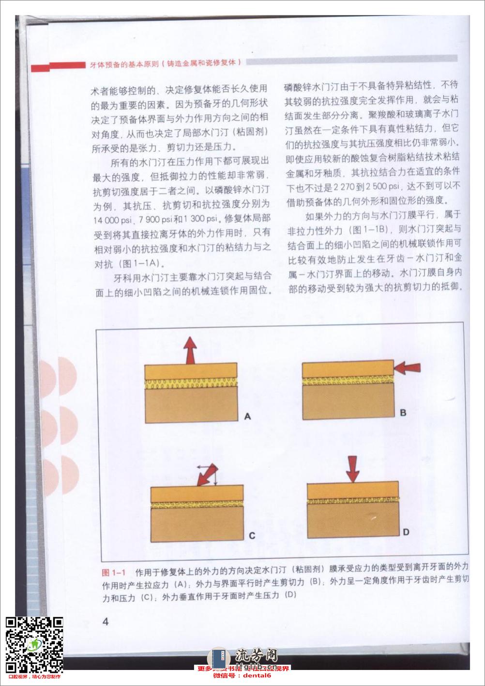 牙体预备的基本原则 - 第6页预览图