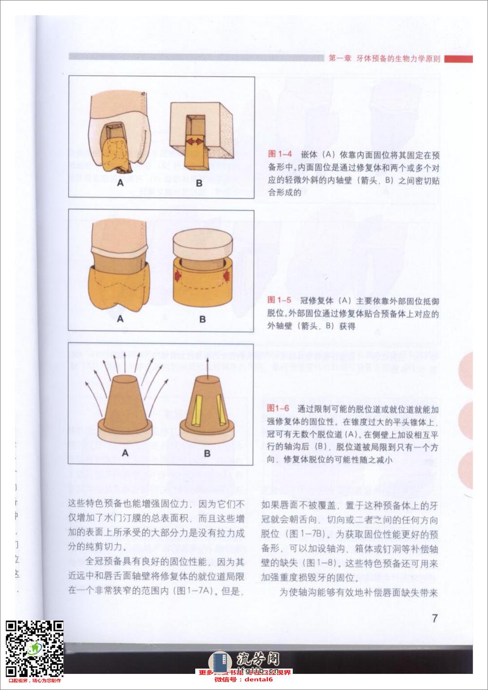 牙体预备的基本原则 - 第9页预览图