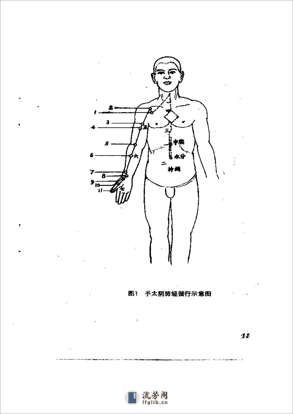 黄廷翼浅针 - 第18页预览图