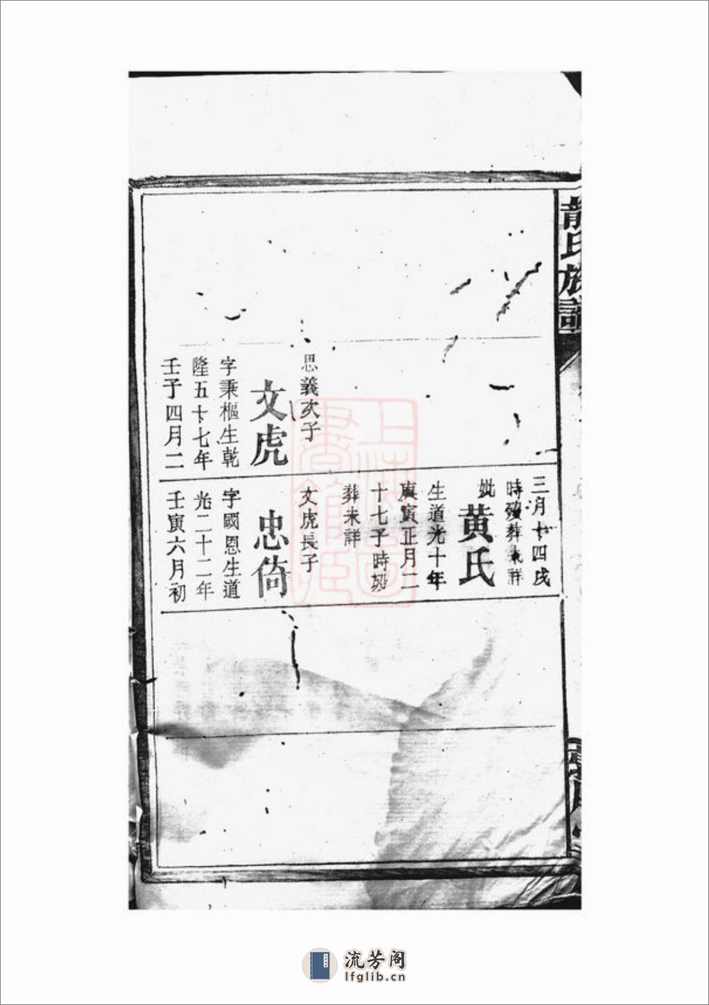 龙氏族谱：：[湖南岳阳] - 第14页预览图