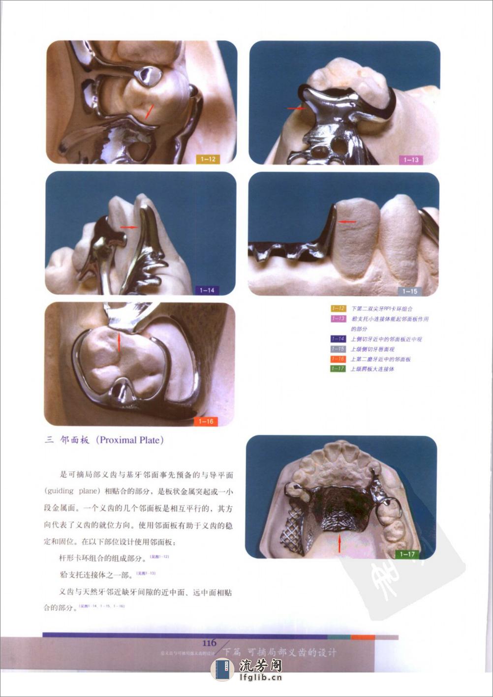 总义齿与可摘局部义齿的设计++（下册） - 第9页预览图
