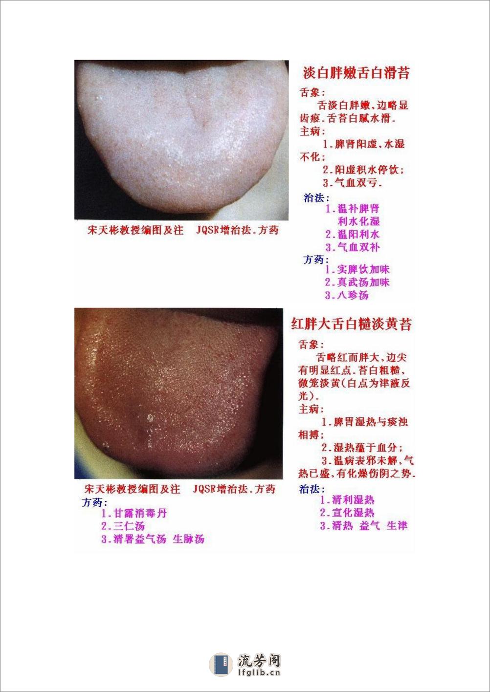 舌象图解及疗法 - 第10页预览图