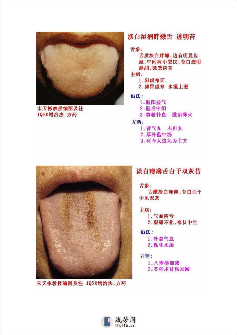 舌象图解及疗法 - 第2页预览图