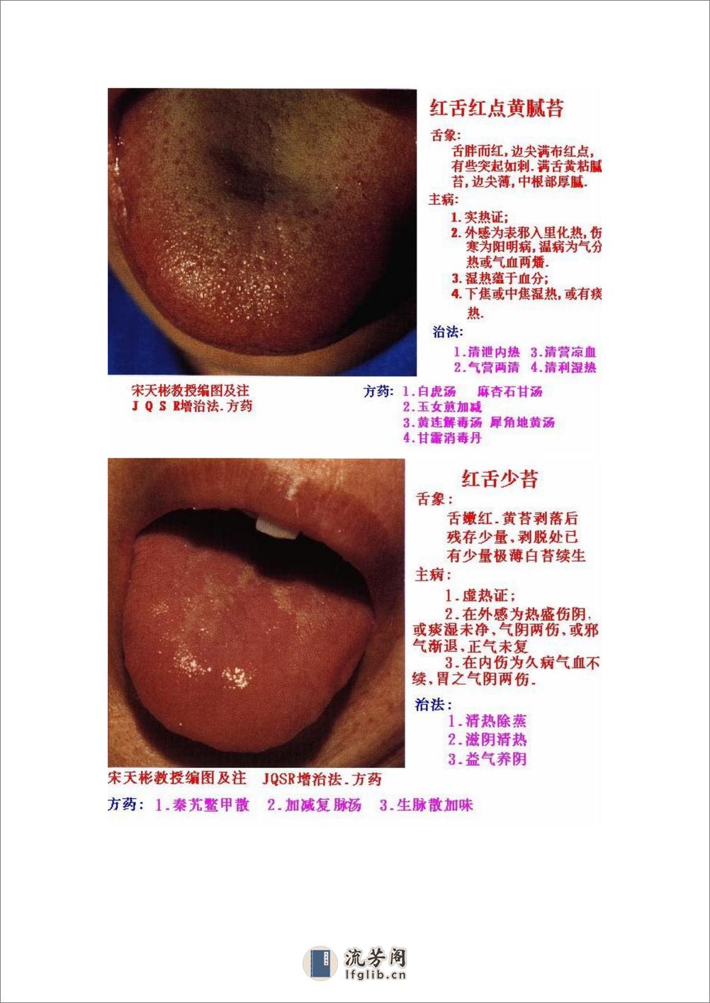 舌象图解及疗法 - 第3页预览图