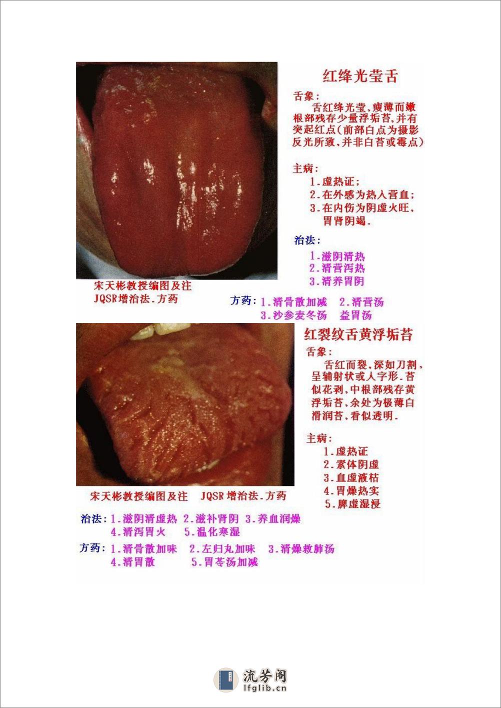 舌象图解及疗法 - 第4页预览图