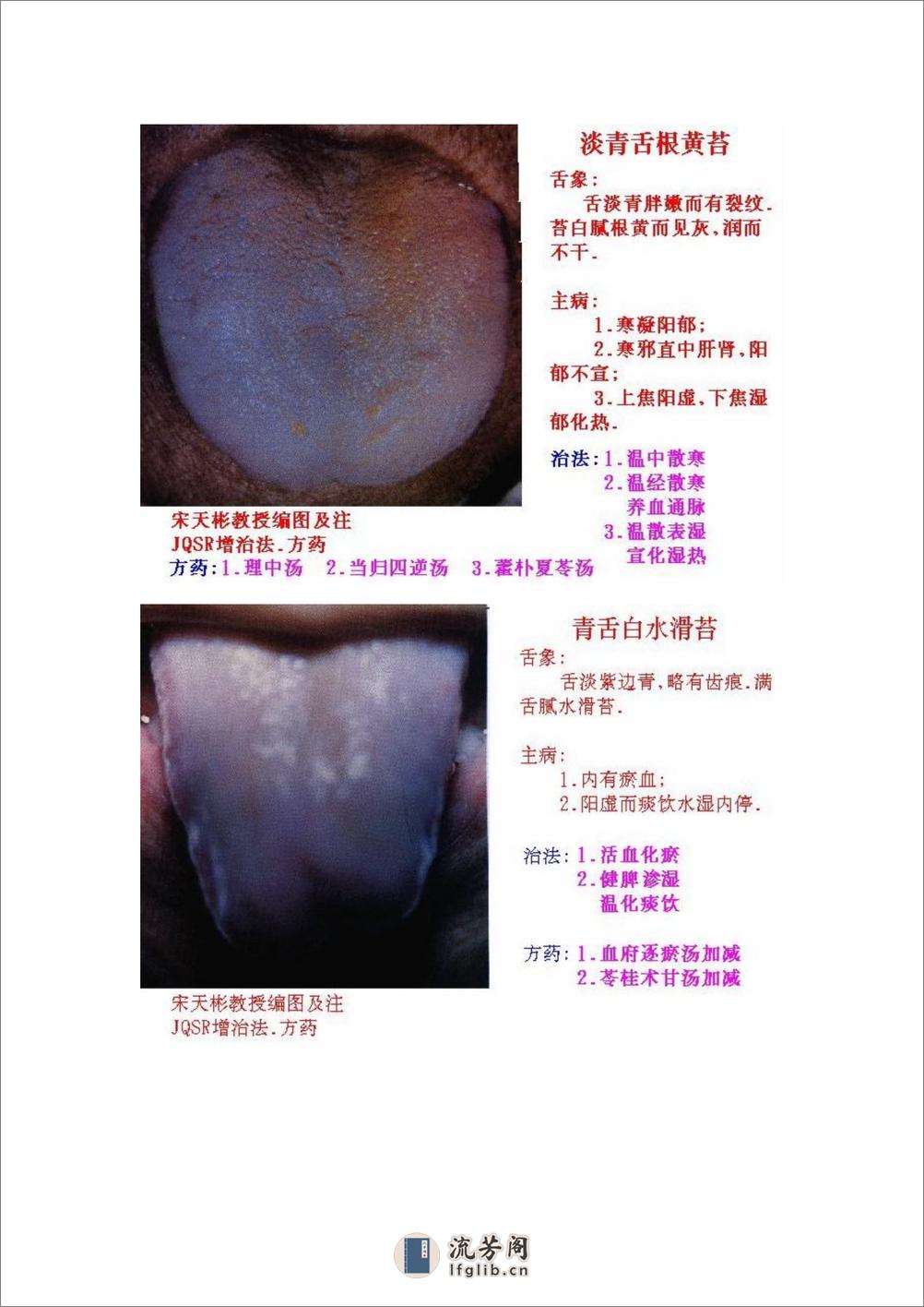 舌象图解及疗法 - 第8页预览图