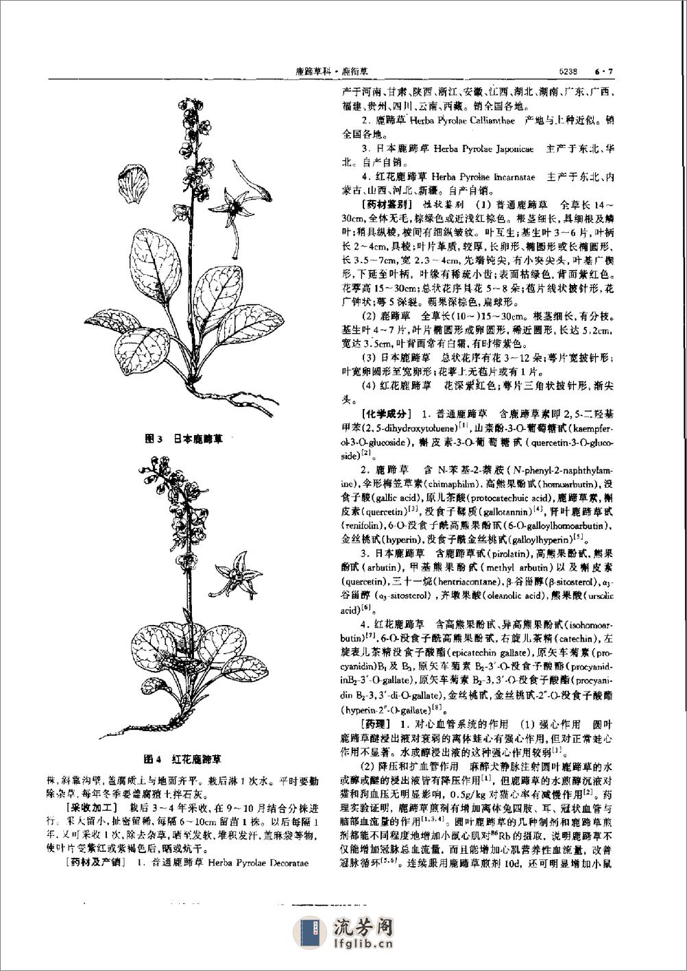 中华本草 6 - 第17页预览图