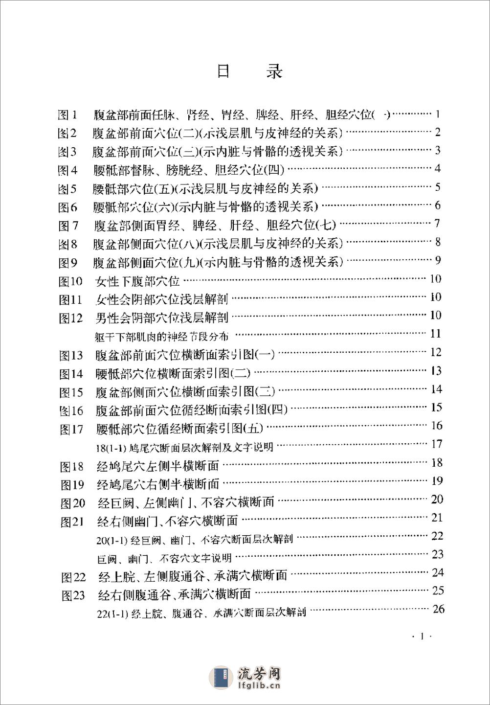 经穴断面解剖图解（腹盆部） - 第12页预览图