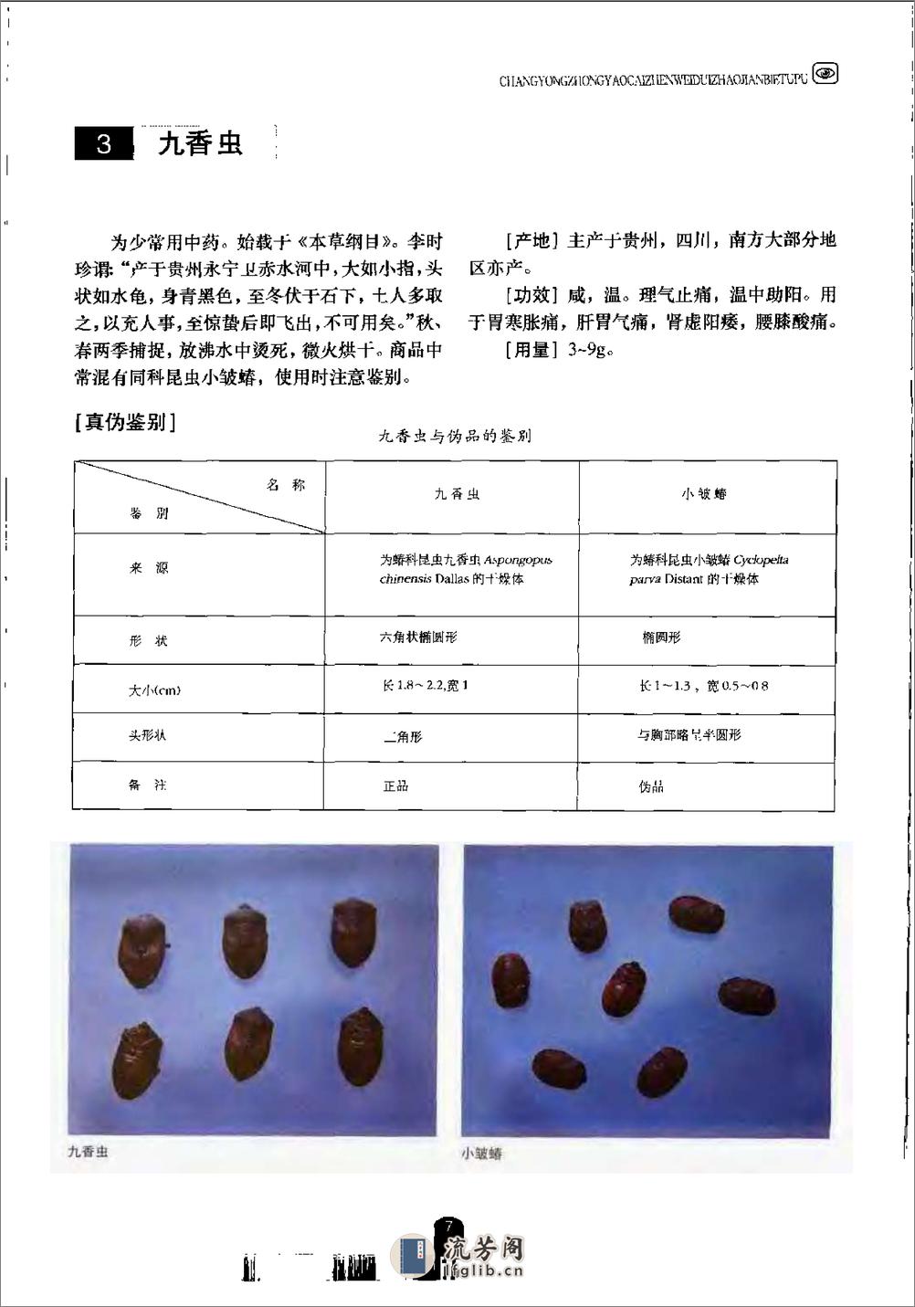 常用中药材真伪对照鉴别图谱（彩图版）(1) - 第15页预览图