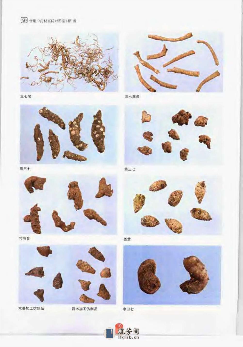 常用中药材真伪对照鉴别图谱（彩图版）(1) - 第18页预览图