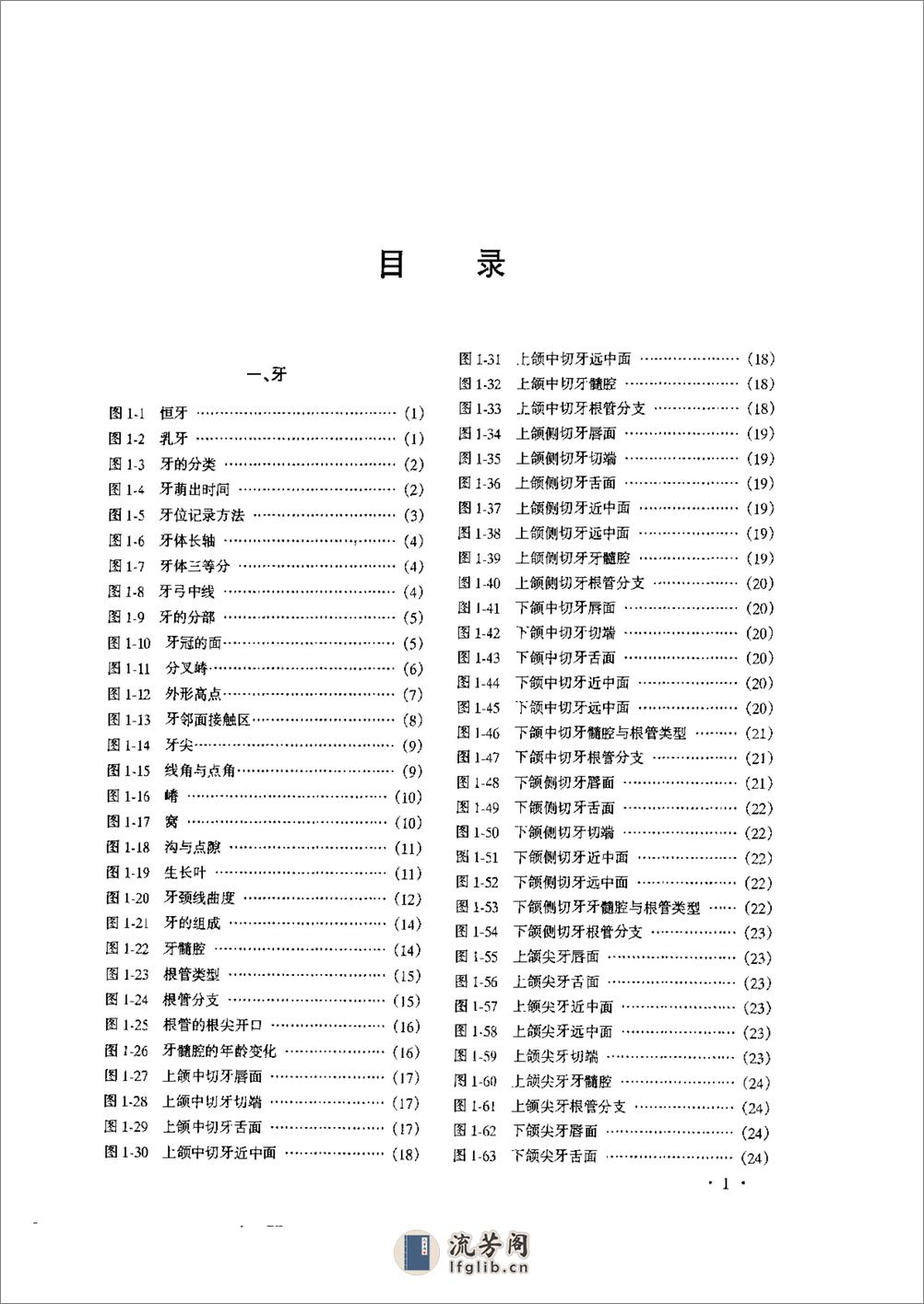 口腔头面颈部临床解剖学图谱与生理学图解（朱世柱  主编） - 第11页预览图