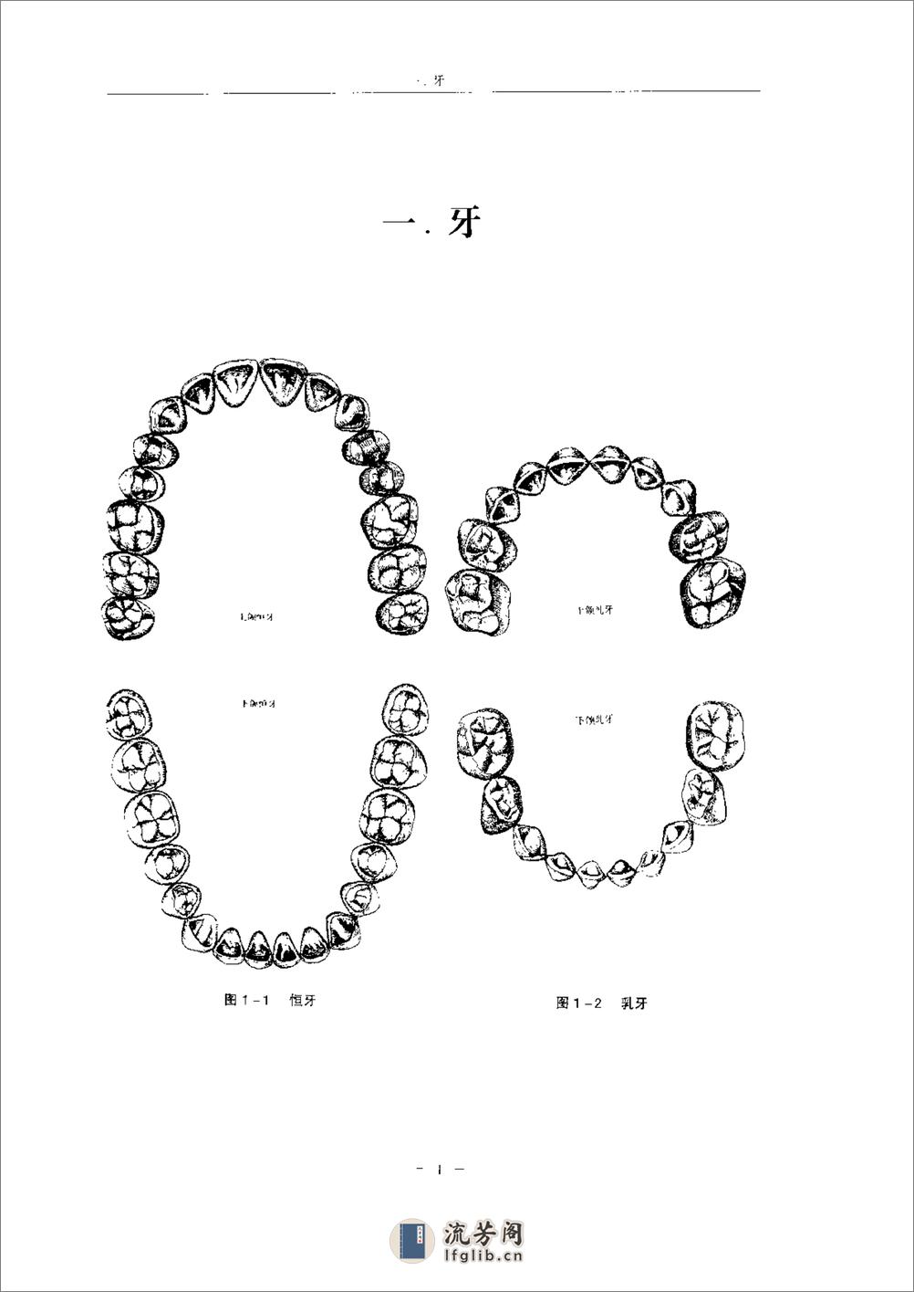 口腔头面颈部临床解剖学图谱与生理学图解（朱世柱  主编） - 第20页预览图