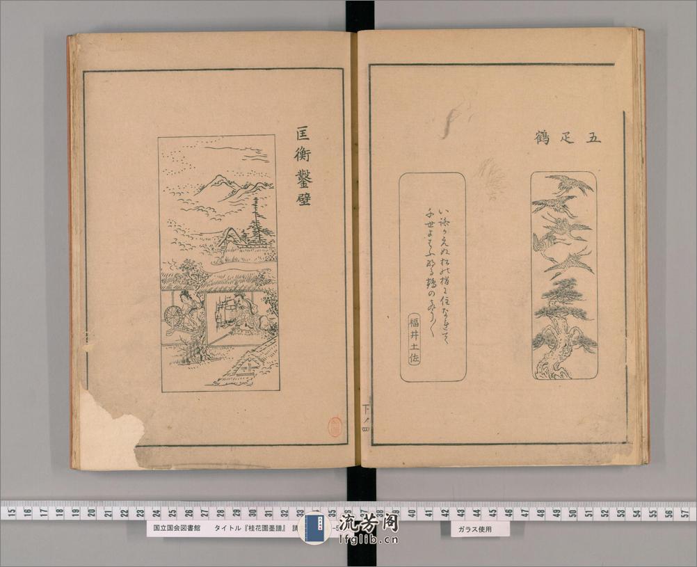 桂华园墨谱.藤原守美编.天明8年刊.1788年 - 第10页预览图