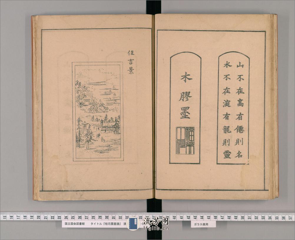 桂华园墨谱.藤原守美编.天明8年刊.1788年 - 第17页预览图