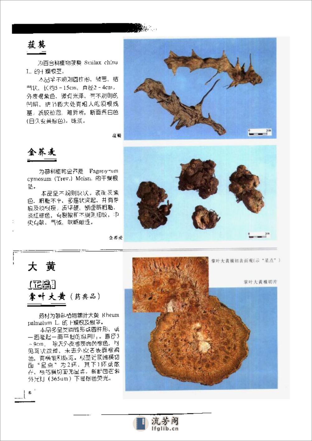 中国中药材真伪鉴别图典[2]：常用根及根茎药材分册 - 第13页预览图