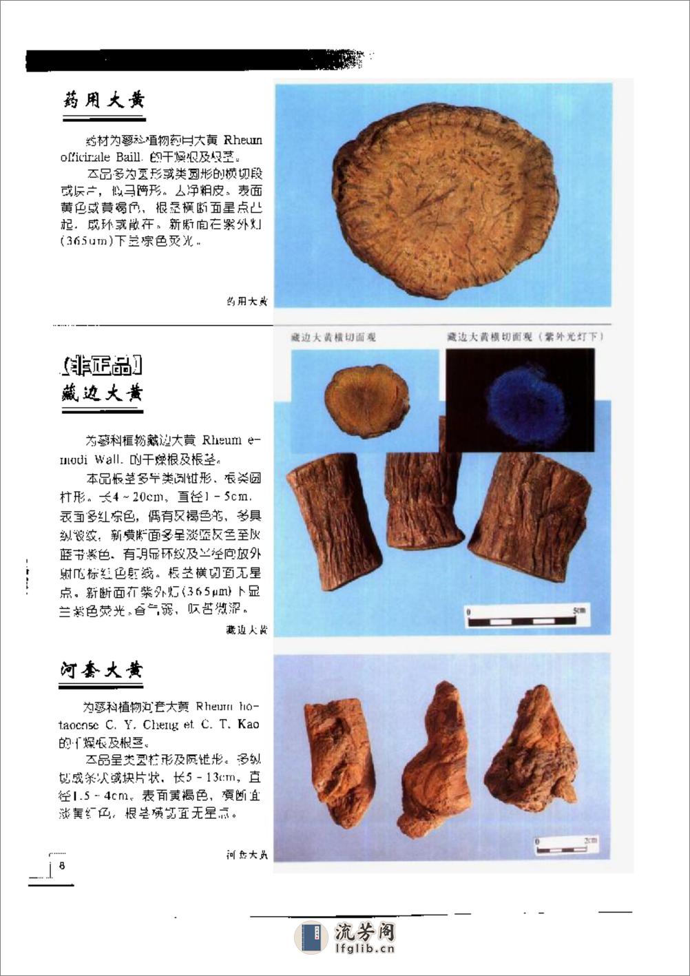 中国中药材真伪鉴别图典[2]：常用根及根茎药材分册 - 第15页预览图