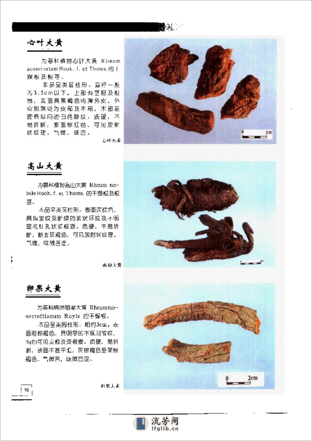 中国中药材真伪鉴别图典[2]：常用根及根茎药材分册 - 第17页预览图