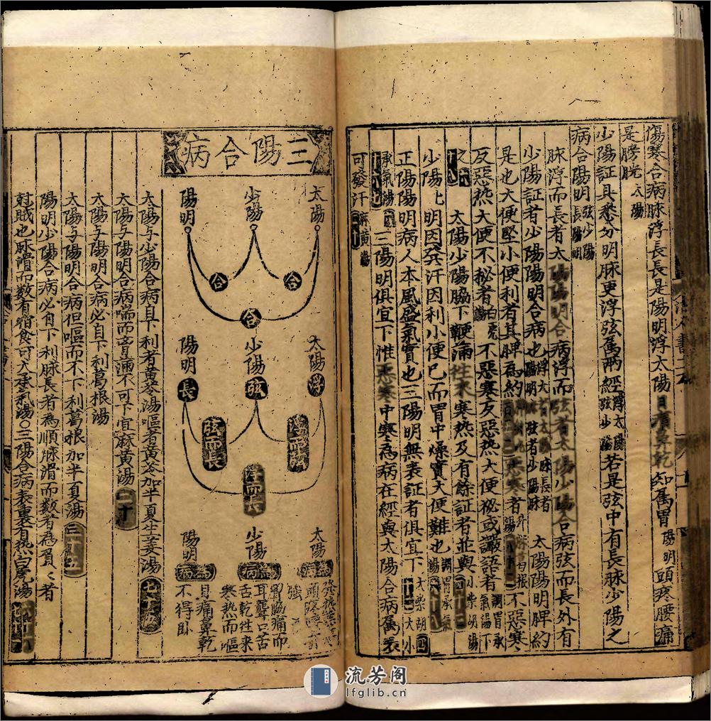 類編傷寒活人書括指掌圖論九卷首一卷續一卷-第003冊 - 第13页预览图