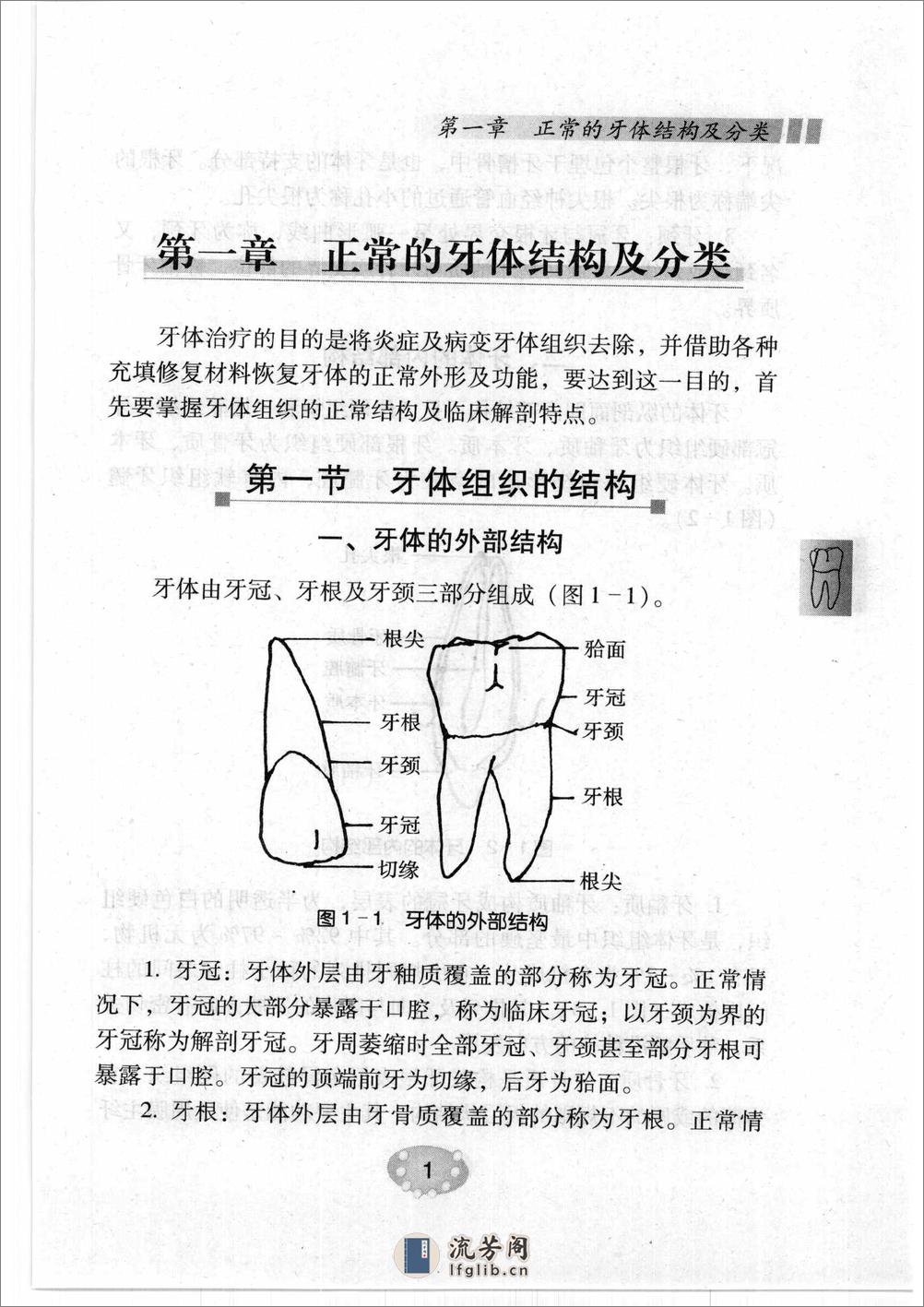 补牙技巧 - 第12页预览图