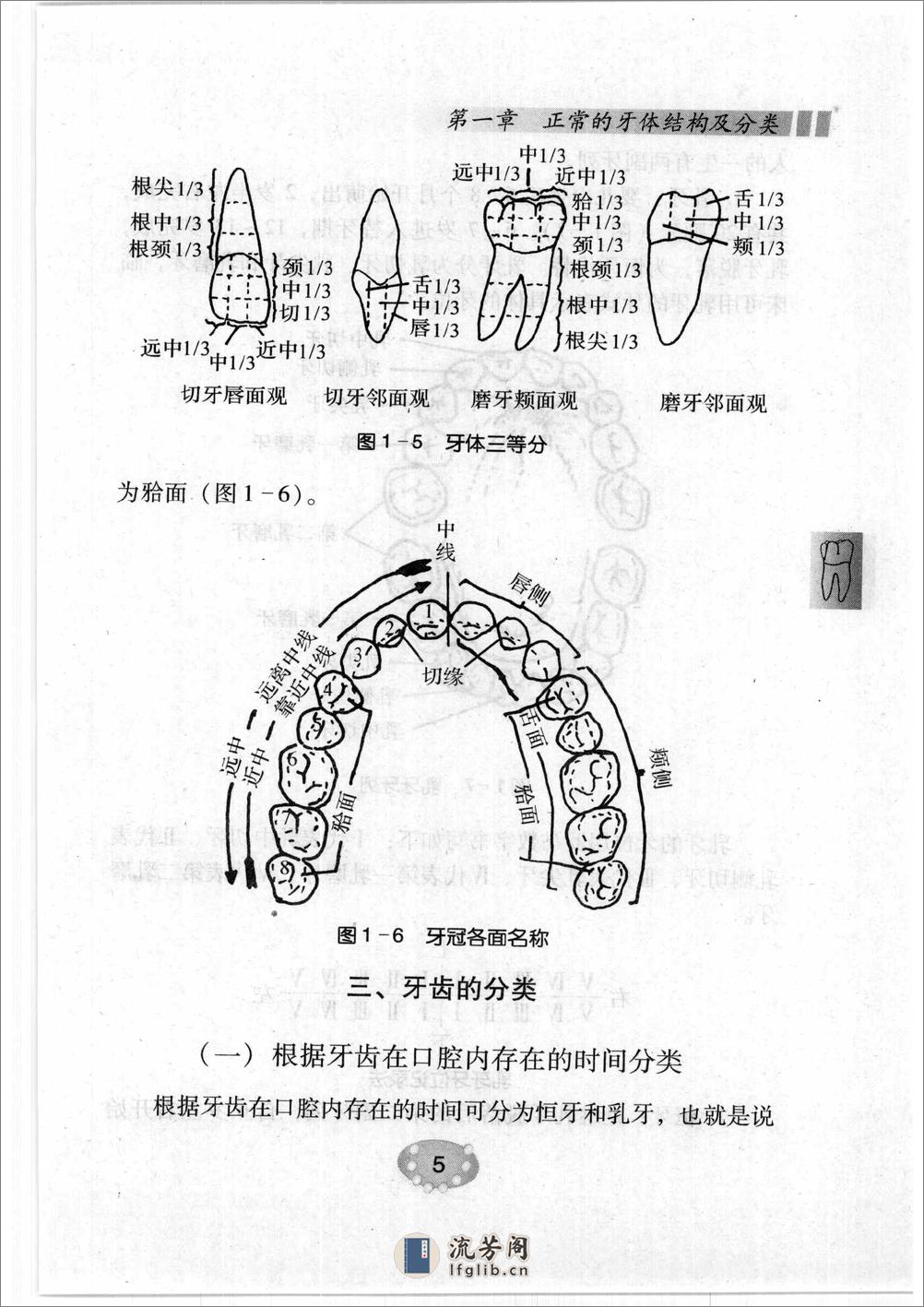 补牙技巧 - 第16页预览图