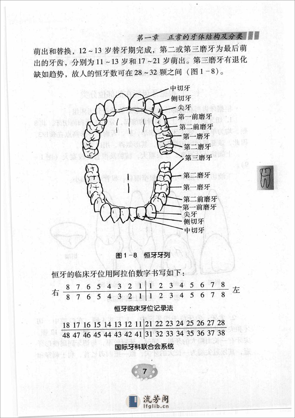 补牙技巧 - 第18页预览图