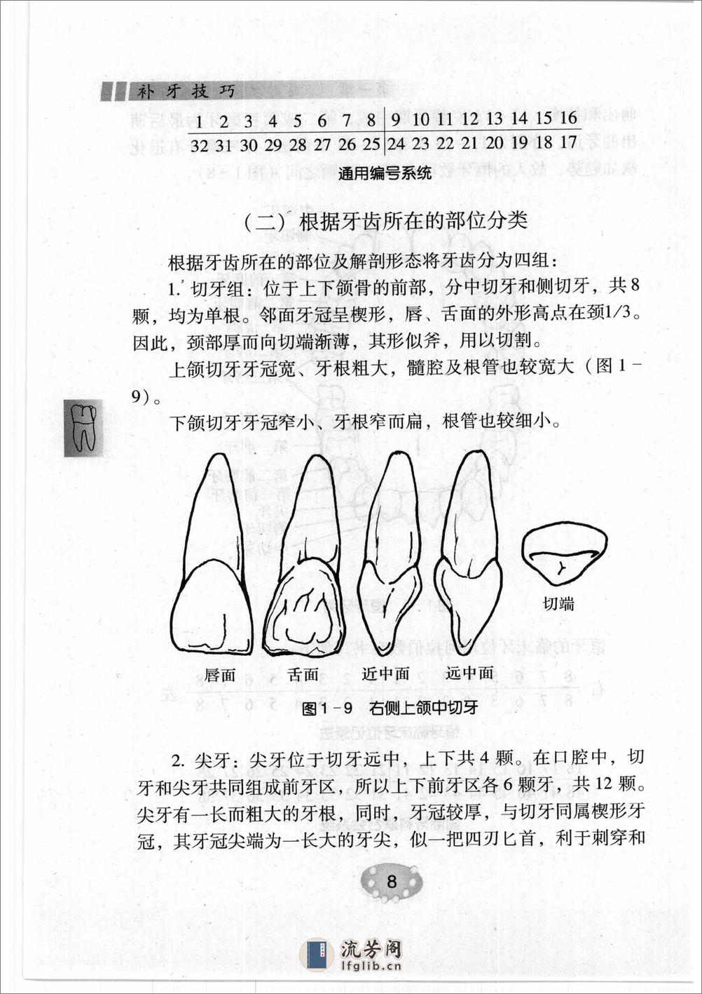 补牙技巧 - 第19页预览图