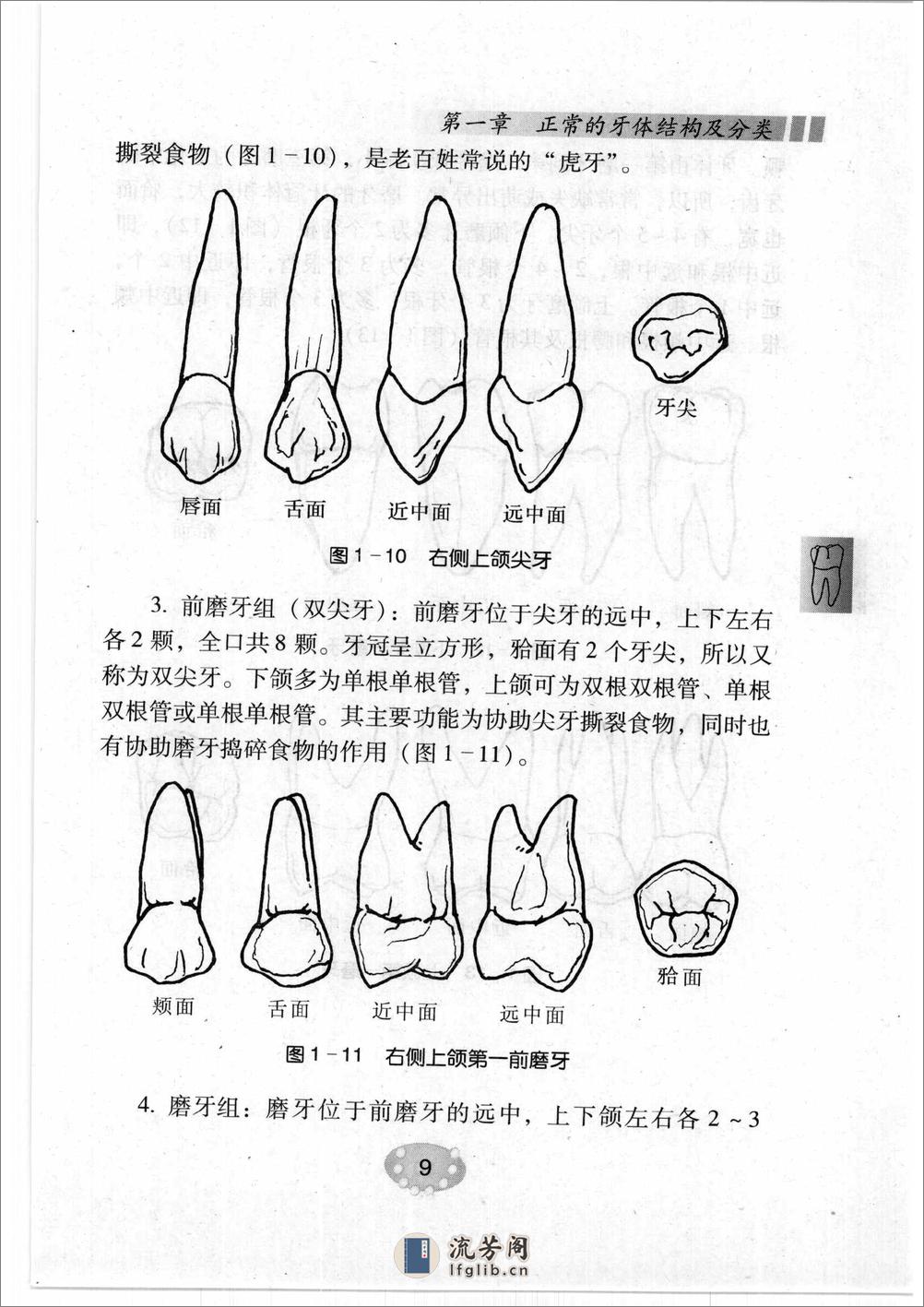 补牙技巧 - 第20页预览图