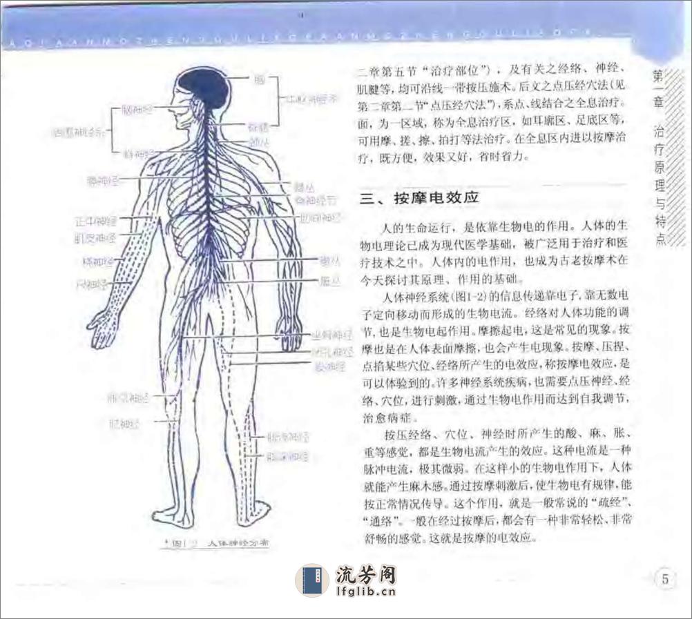 按摩正骨疗法：损伤治疗与健身美容（曾传宜） - 第8页预览图