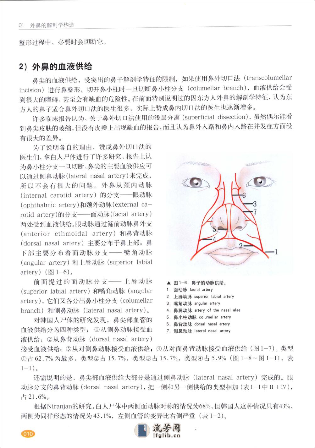 现代韩国鼻整形术 - 第12页预览图