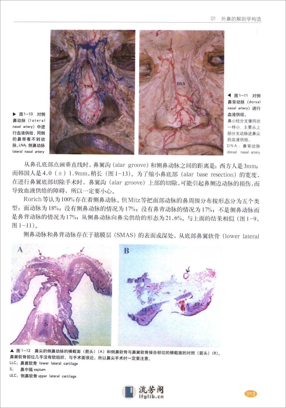 现代韩国鼻整形术 - 第15页预览图