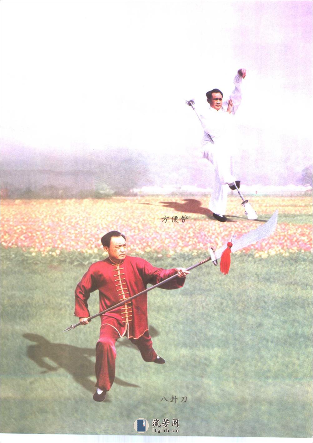 《中国八卦太极拳》赵增福 - 第9页预览图