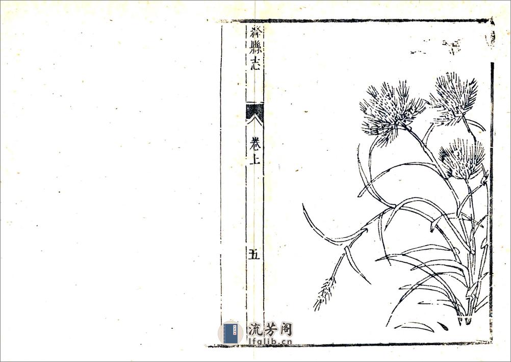 绛县志（顺治） - 第18页预览图