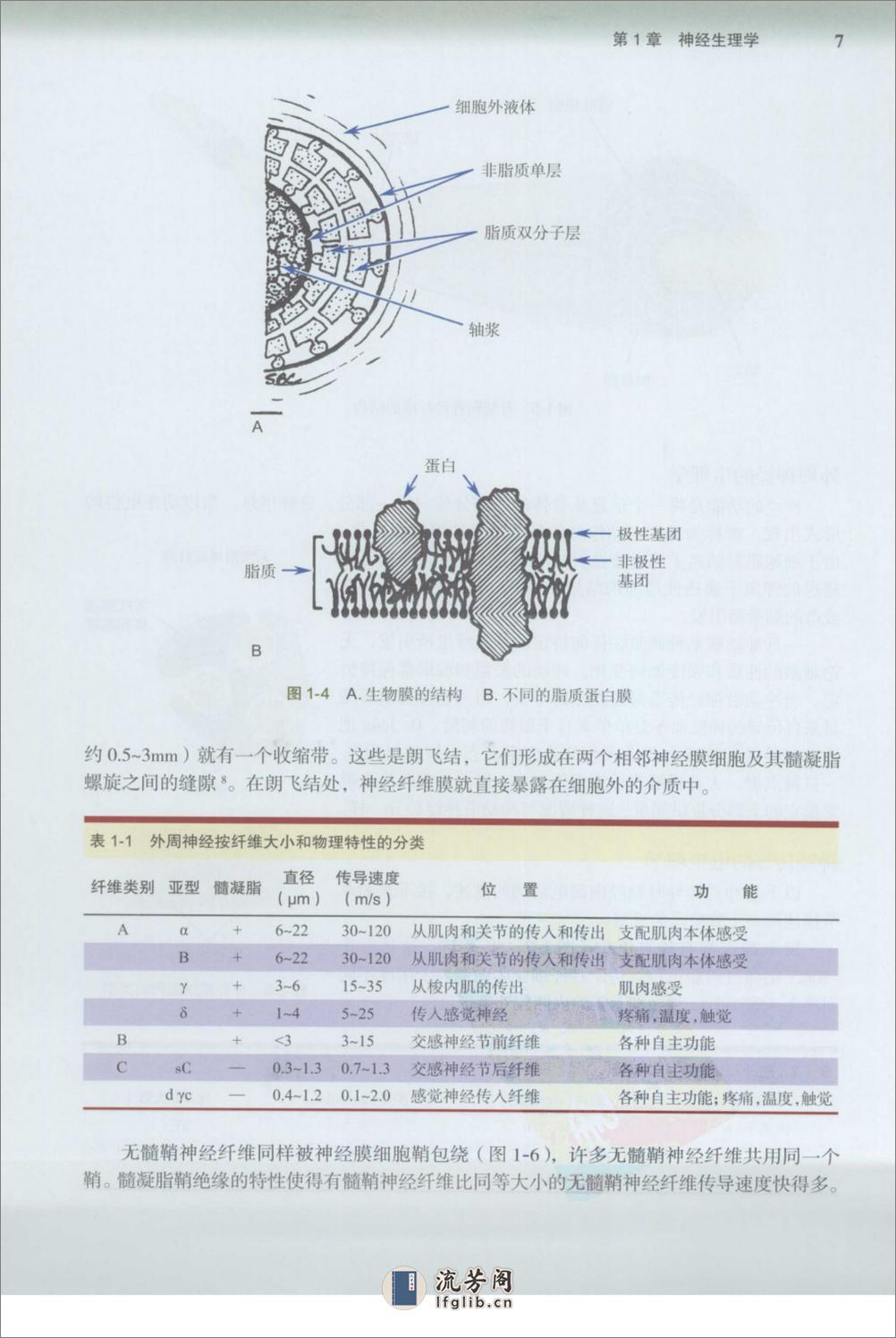 口腔局部麻醉手册 - 第20页预览图