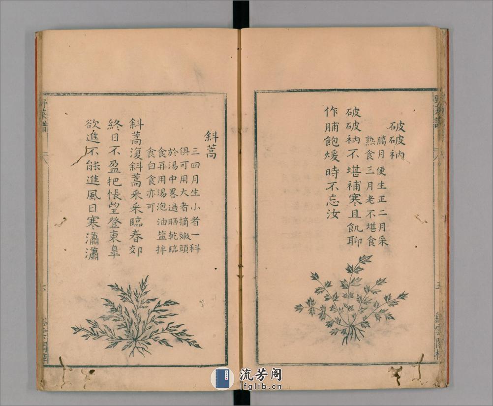 野菜谱.明.王磐撰.万历14年跋.1586年 - 第12页预览图