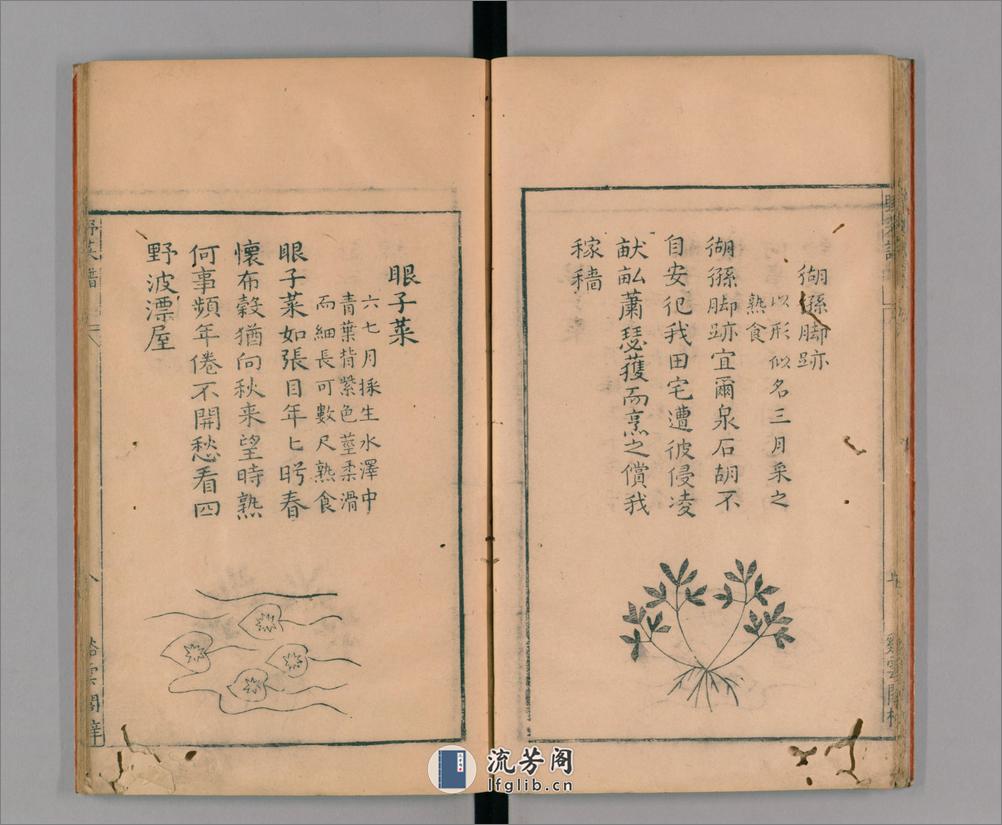 野菜谱.明.王磐撰.万历14年跋.1586年 - 第14页预览图