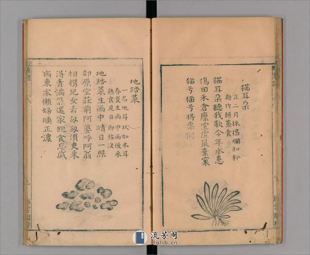 野菜谱.明.王磐撰.万历14年跋.1586年 - 第15页预览图