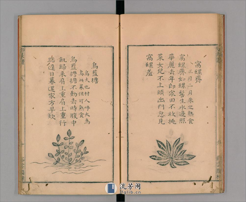 野菜谱.明.王磐撰.万历14年跋.1586年 - 第16页预览图