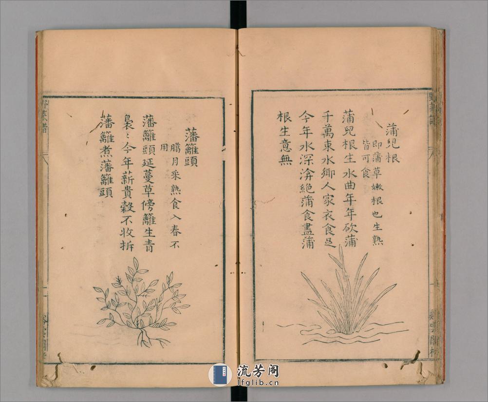 野菜谱.明.王磐撰.万历14年跋.1586年 - 第17页预览图