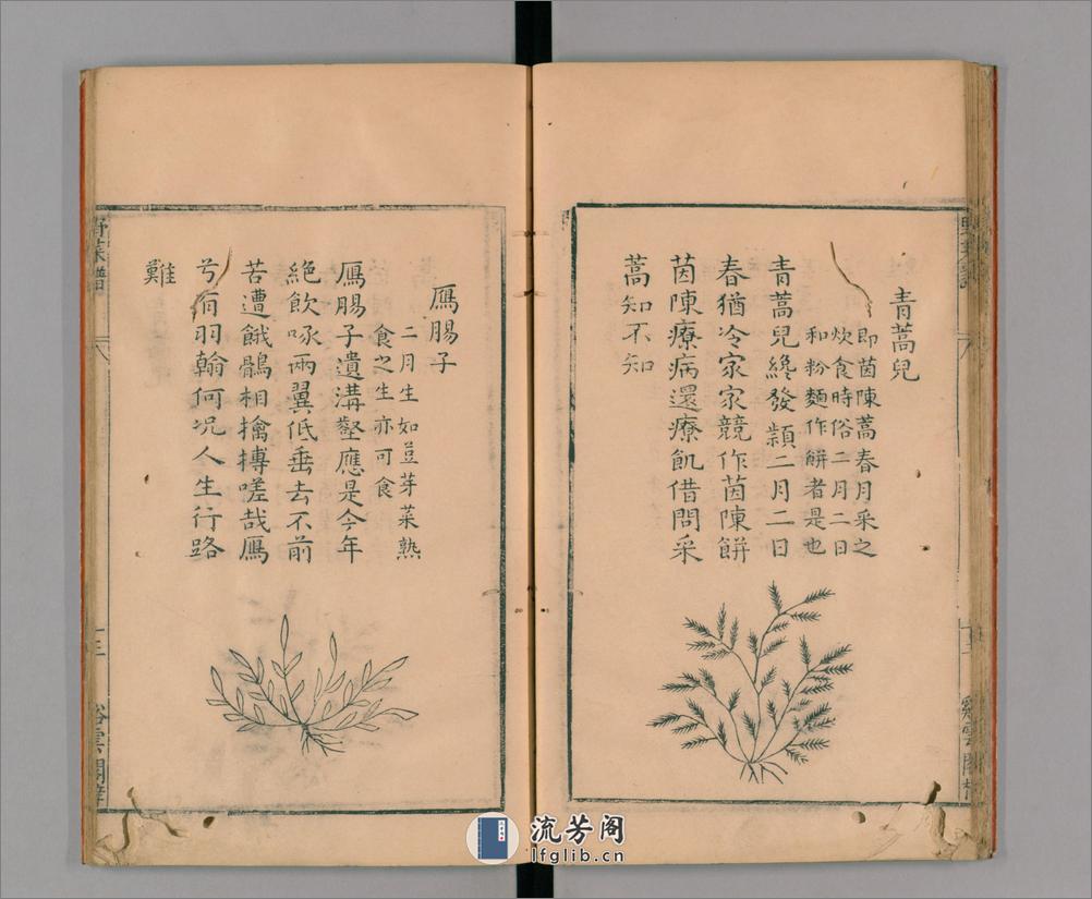 野菜谱.明.王磐撰.万历14年跋.1586年 - 第19页预览图