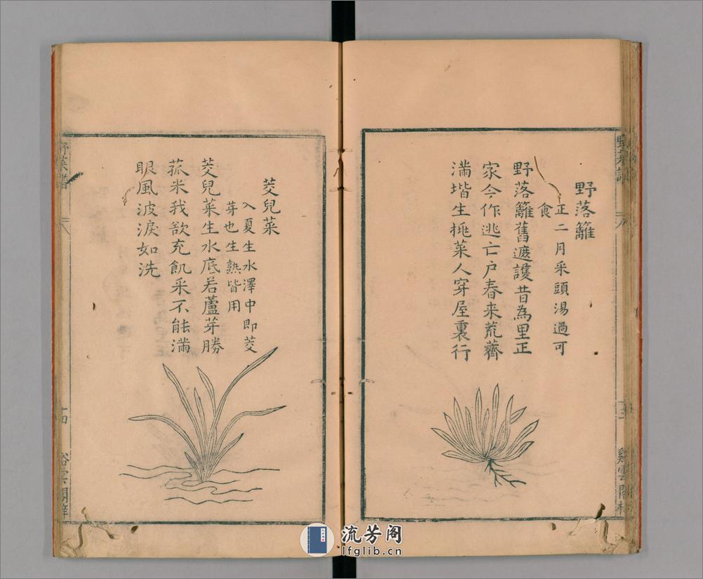 野菜谱.明.王磐撰.万历14年跋.1586年 - 第20页预览图