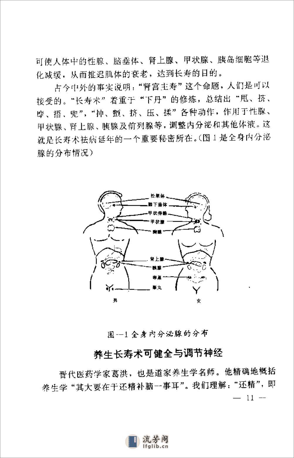 [中国道家秘传养生长寿术研究与实践].杨俊超 - 第18页预览图